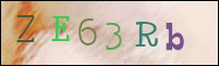 Registration Image