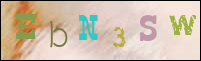 Registration Image
